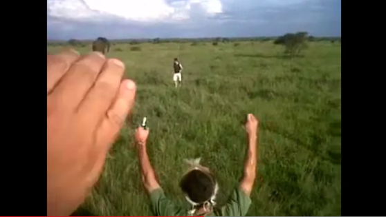 VideoExtra, Djur